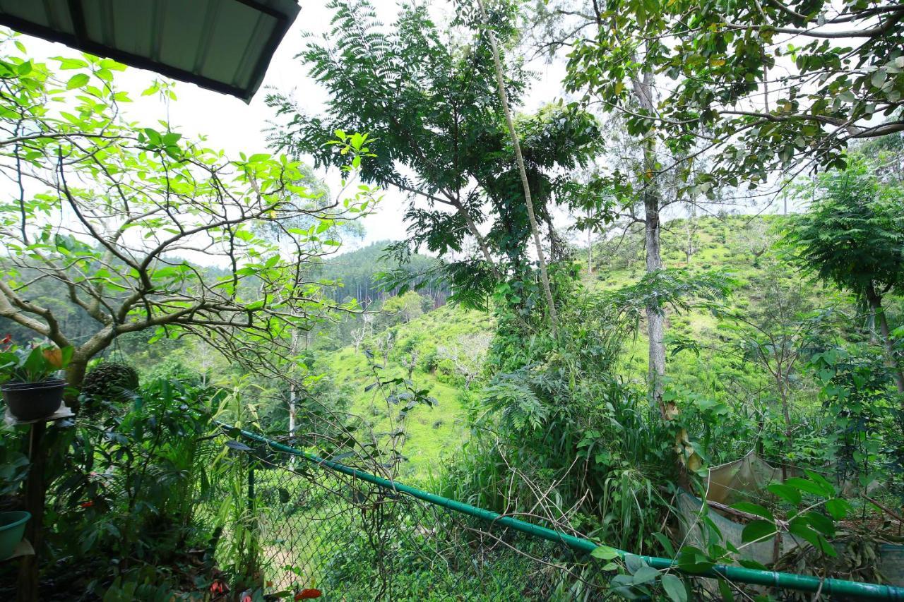 Nature Relax Ella Esterno foto